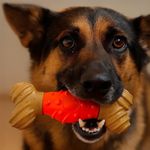 Hueso Sabor Mantequilla de Maní 7 Plg