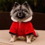 Chumpa Navideña para Perro  M