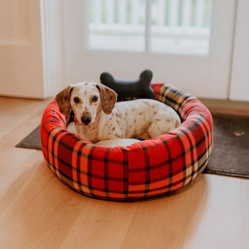 Cama Dognut para Perro Talla S