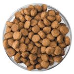 Alimento para Perro Cachorro Raza Grande Sabor a Pollo 3 Kg