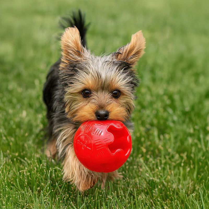 Pelota Play Strong Pequeña
