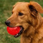 Pelota Play Strong Pequeña