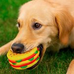 Juguete Figura de Hamburguesa