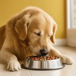 Alimento para Perro Adulto Raza Grande y Mediana con Pollo y Vegetales 2 Kg