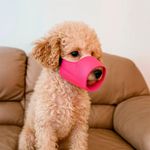 Bozal de Nylon Pequeño Colores Surtidos