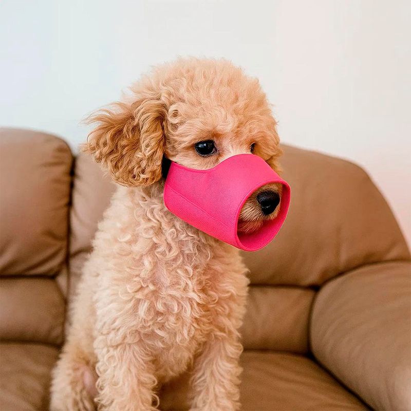 Bozal de Nylon Pequeño Colores Surtidos