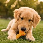 Hueso de Carnaza Multicolores para Perro 4 Unidades