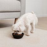 Saco de Concentrado para Perro Adulto Raza Pequeña 4 Kg