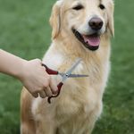 Tijera Manual Duke S de Plastico