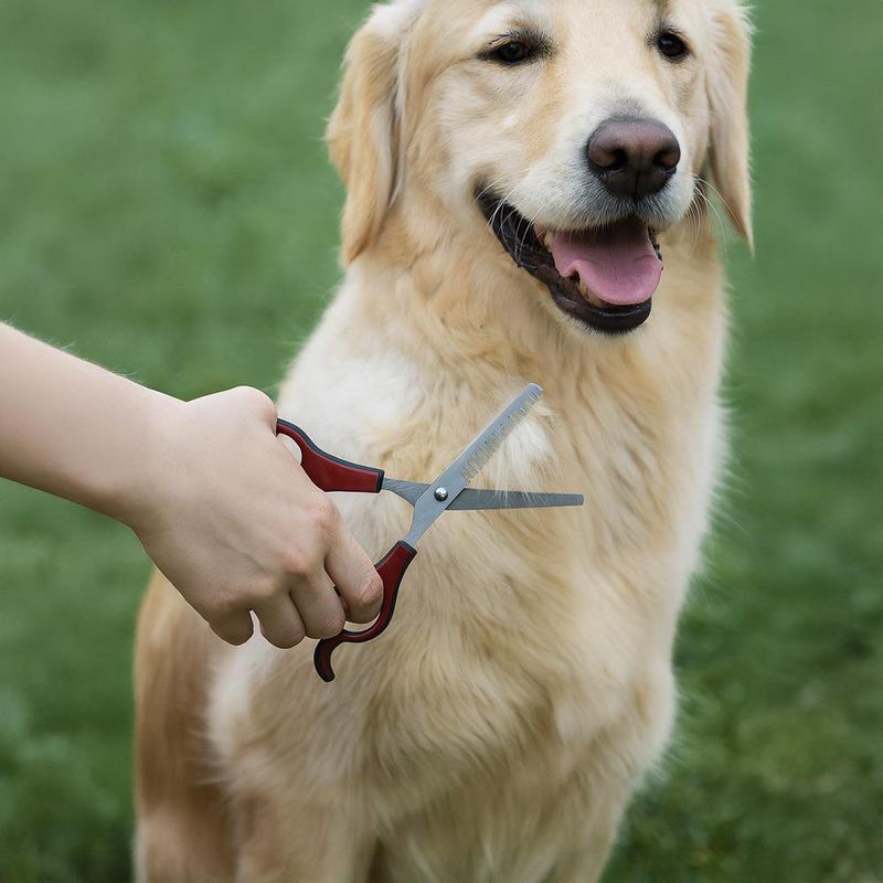 Tijera Manual Duke S de Plastico