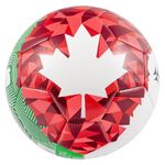 Pelota de Mundial Canadá No. 5