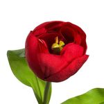 Flor Decorativa Tulipán Rojo