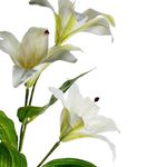 Rama de Lirio Artificial Blanco