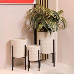 Set de Maceteros Blancos con Patas Negras 3 Piezas