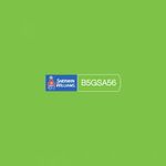 Pintura Acrílica Excello Mate Verde Caryman 5 Gal