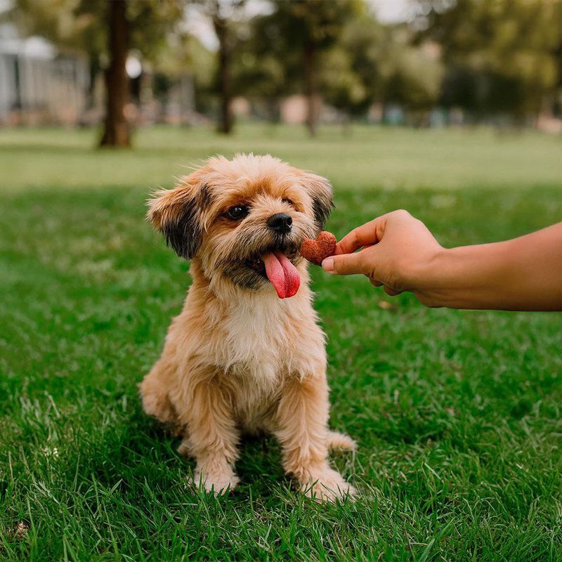 Galletas para Perro Todas las Etapas y Razas con Pollo y Vegetales 250 Grs