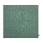 Funda para Cojín Color Menta 45 x 45 Cm