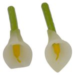 2 Velas de 6 Plg con Forma de Flor Empacada