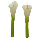 2 Velas de 6 Plg con Forma de Flor Empacada