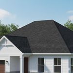 Shingle Dual Negro Cambridge Ar 30 3D