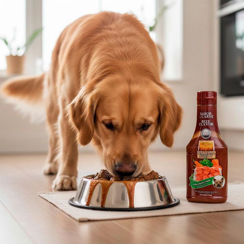 Salsa Casera Natural para Perro Todas las Etapas con Sabor Carne 370 Ml