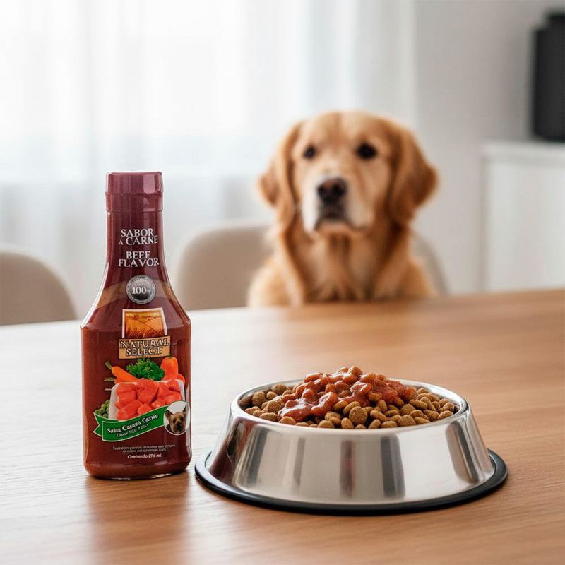 Salsa Casera Natural para Perro Todas las Etapas con Sabor Carne 370 Ml