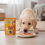 Alimento para Perro Cachorro Raza Pequeña Filetes de Pollo en Salsa 100 Grs