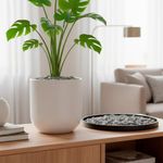 Cubresuelos Piedra Gris