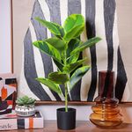 Árbol Decorativo de Hule Verde con Maceta Negra