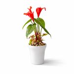 Planta Artificial de Cartuchos Rojos con Maceta Decorativa