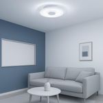 Bombilla Circular Radiante 11 W