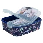 Contenedor con 3 Compartimientos Frozen