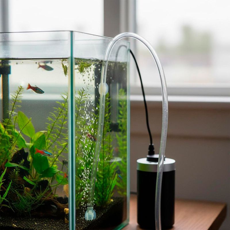 Manguera de Polietileno Transparente 3/8 Plg x 1/4 Plg Venta por Pie