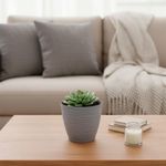 Maceta Premium Gris 10 x 11 Cm