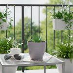 Maceta Premium Gris 10 x 11 Cm