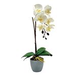 Orquídea Blanca Decorativa Minimalista en Maceta Gris