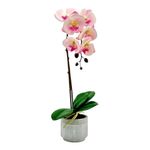 Orquídea Rosa Decorativa en Maceta Texturada