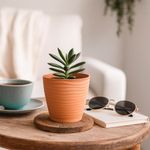 Maceta Premium Terracota