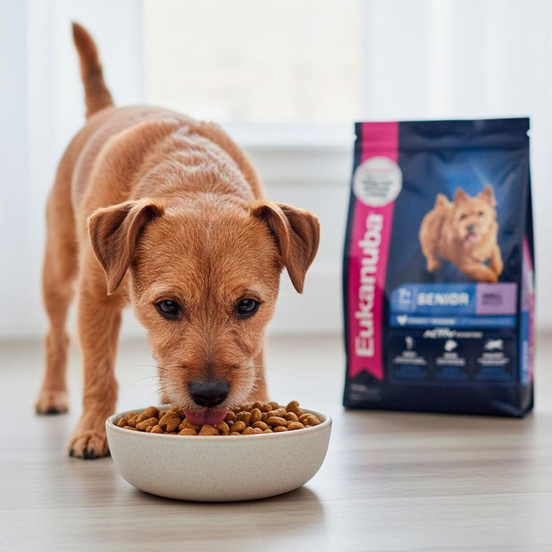 Alimento para Perro Senior Raza Pequeña Sabor a Pollo 3 Kg