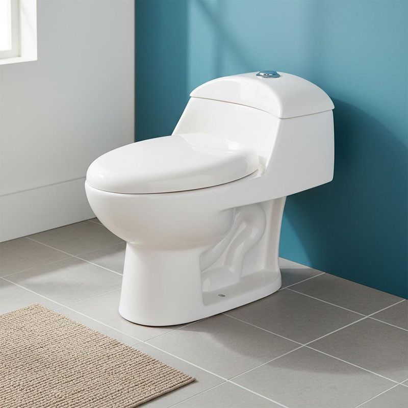 Sanitario de Una Pieza con Descarga Dual Elongado Vescovo Blanco