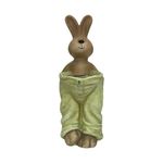 Figura Decorativa Conejo con Pantalón Verde