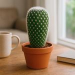 Cactus Mammillaria Maceta 3 Plg