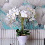 Orquídea Blanca con Flores Decorativas en Maceta Gris