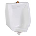 Orinal Washbrook Pint con Fluxómetro