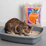 Arena para Gato Original 20 Lb