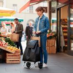 Carrito de Compras Plegable con Tubos de Aluminio