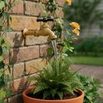 Chorro de Globo de Latón 1/2 Plg