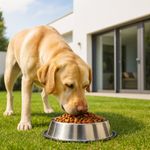 Alimento para Perro Adulto Raza Mediana y Grande con Pollo y Vegetales 44.09 Lbs