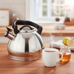 Tetera de Acero Inoxidable con Silbato Satinada 3 L