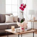 Orquídea Decorativa Phalaenopsis de 1 Tallo